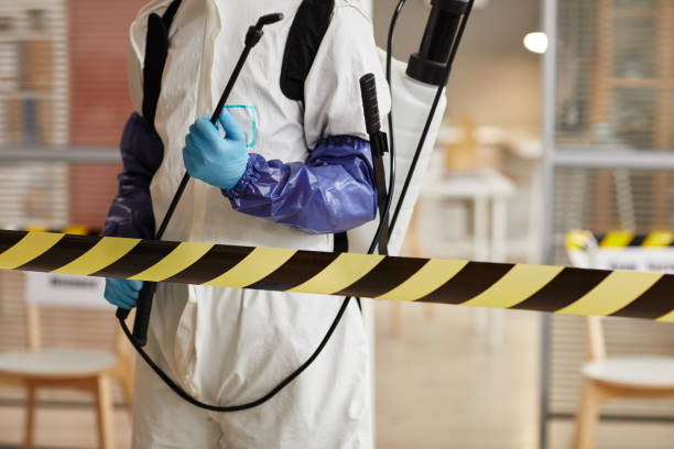 Professional Sewage Cleanup technician working in Lempster, NH